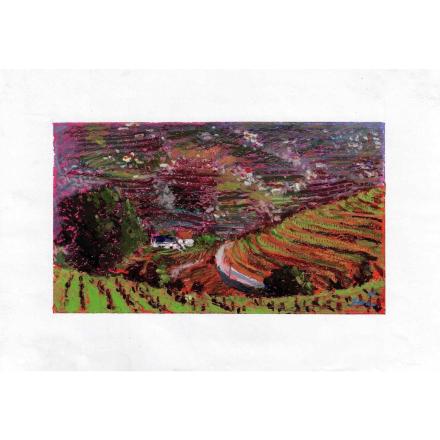 Douro Valley I